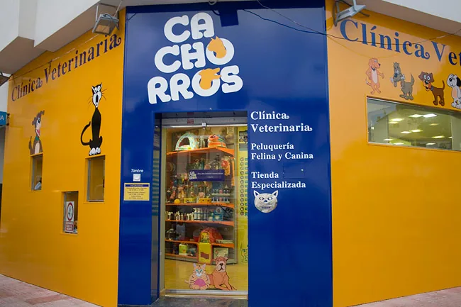 Fachada de la clínica en C/ Los Pasos: entrada azul con el logo y paredes naranjas