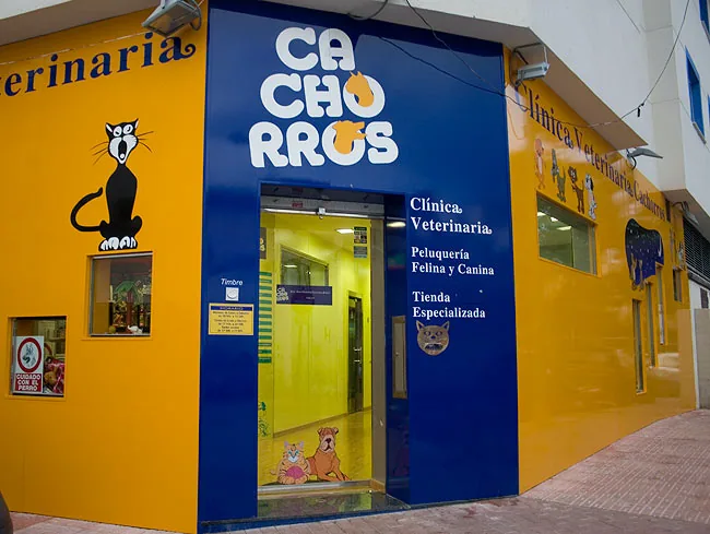 Fachada de la clínica: entrada azul con el logo de Cachorros y paredes naranjas con perros y gatos dibujados