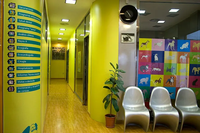 Sala de espera con sillas plateadas, plantas y una pared de azulejos de colores con animales